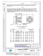 SAE AS21913E